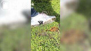 Crappy walk in Women’s Sneakers