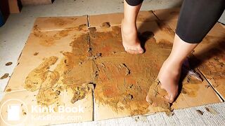 Bitch Brown Nylons Socks