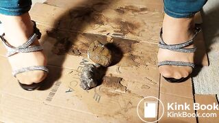 Pantyhose Asian And Big Black Dog