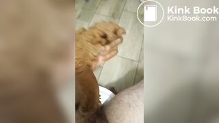 Scat masturbate