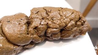 A Peaceful Shit on the Toilet Seat