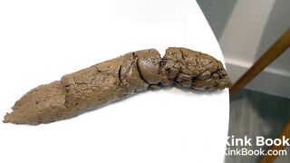 A Peaceful Shit on the Toilet Seat