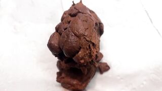 Favorite Scat Position Results, Sep 2023 (Saturday