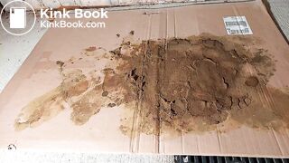 Nylon Feet dog Spout madness