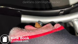 Use The Toilet - FULL VID is 28 MIN