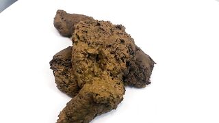 Join Me for an Afternoon Shit