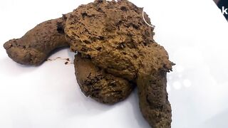 Join Me for an Afternoon Shit