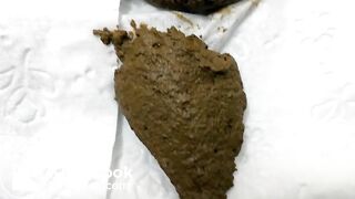 Trans BBW Quick Shit in the Afternoon