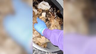 Vomit for worthless human toilet shit whore