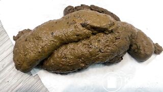 Favorite Scat Position Results, 2023 (Wednesday)