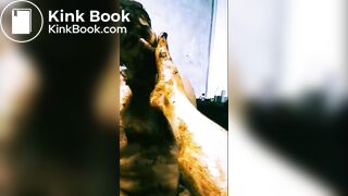 Ozzie Continues Licking Shit Off His Mate's Feet