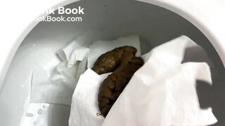 Favorite Scat Position Results, Sep 2023 (Monday)