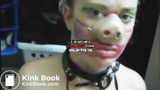 It's a shitty life being a pig