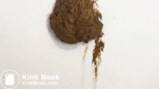 Enjoy My Shit Cannon