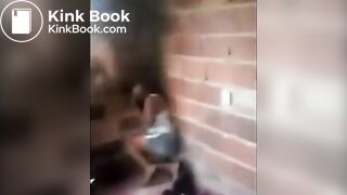 punish stick whip cane