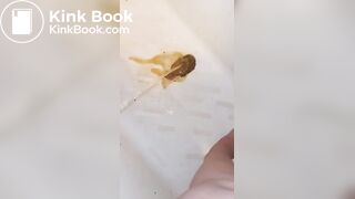 Pissing on my own Shit