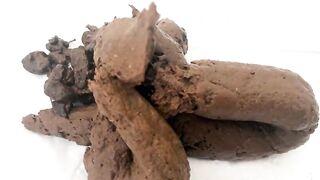 Magnificent Scat Pile by Trans BBW