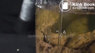 Shit Shake Flushed!! - FULL VID is 11 MIN