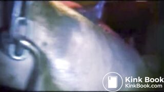 Schweinestall 13 S-132