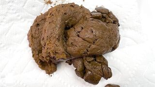 Trans Giantess Buries You in Shit