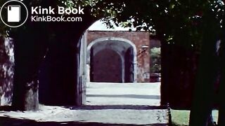 Terror At Orgy Castle (1971) IMDB tt0067843