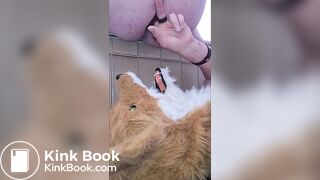 Fursuiter Gets Shit All Over Them P2