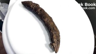 POV Shit in Your Face