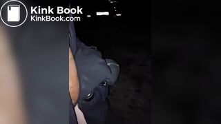 Party scat