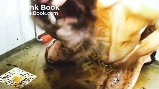 Scat smear