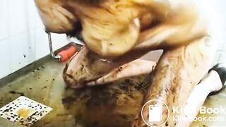 Scat smear
