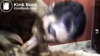 Honey Bee Scat Queen 6