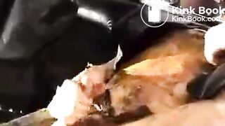 man scat - August 28, 2004