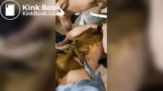 Shit on Face and Smear