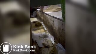 Beautiful women pooping in the toilet 22