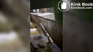 Beautiful women pooping in the toilet 22