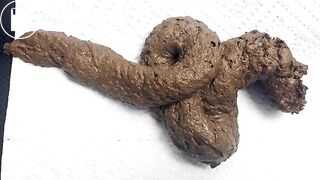 Close-Up Shit Snake (with Pics)