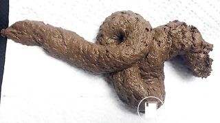 Close-Up Shit Snake (with Pics)