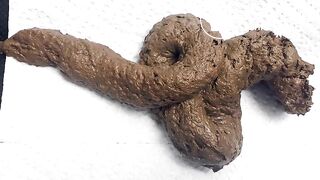 Close-Up Shit Snake (with Pics)