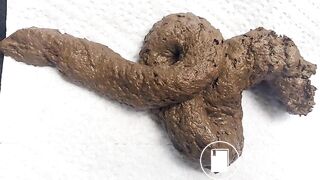 Close-Up Shit Snake (with Pics)