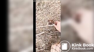 whore picking up dogshit and eats it