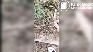 whore picking up dogshit and eats it