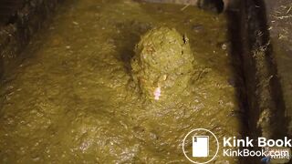 Brooke Maddison Morning Cowshed Routine in Cowshit