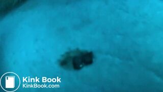 Olibrius71 and Mistress Timea Little shit