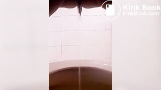 me pee and shit in my toilet