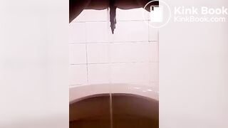 me pee and shit in my toilet