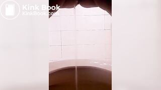 me pee and shit in my toilet