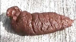 Scatqueen Compilation of massive shits