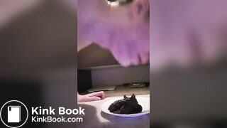 Faggot toilet, owned property of @Vancitybull