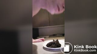 Faggot toilet, owned property of @Vancitybull