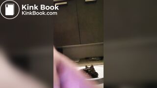 Faggot toilet, owned property of @Vancitybull